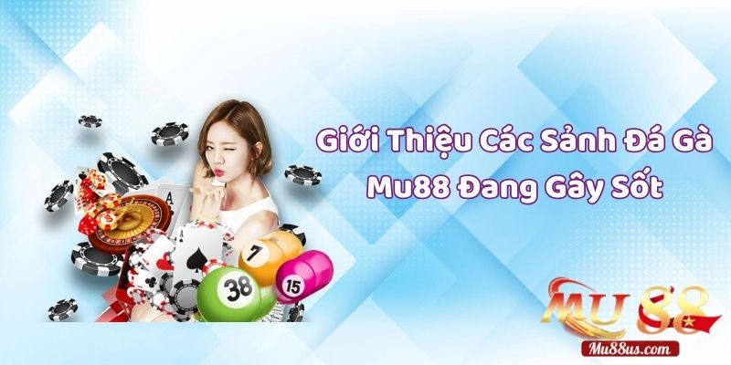 Giới Thiệu Các Sảnh Đá Gà Tại Mu88 Đang Gây Sốt